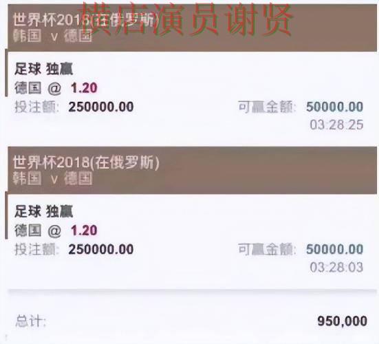 世界杯投注平台精选合集：覆盖玩法指南与入口方式 - 世界杯赛事中心